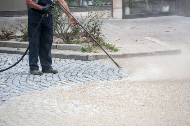 Best Roof Washing  in Campbellsburg, KY